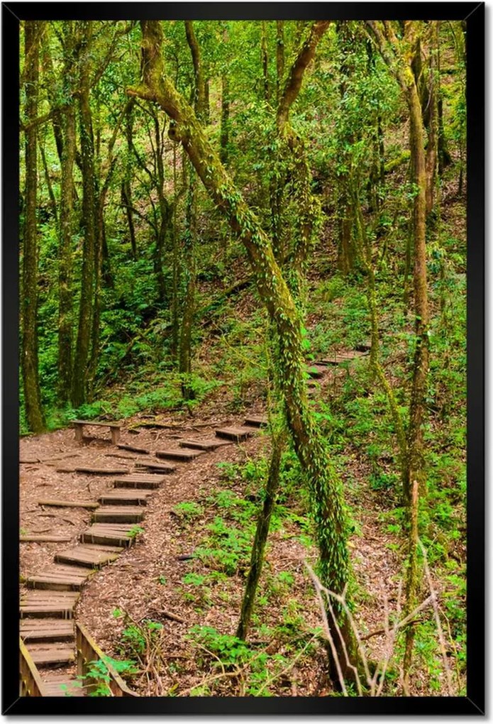 Poszterek keretben 40x60 Gyalogtúra