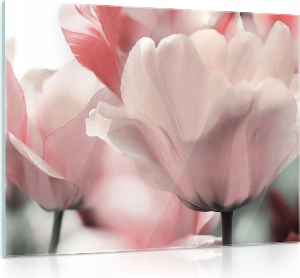 Üvegfestmény Virágok modern 3D 80x60