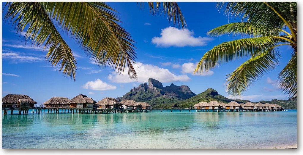 Fotó üvegfestmény Pálmafák Bora Bora 140x70