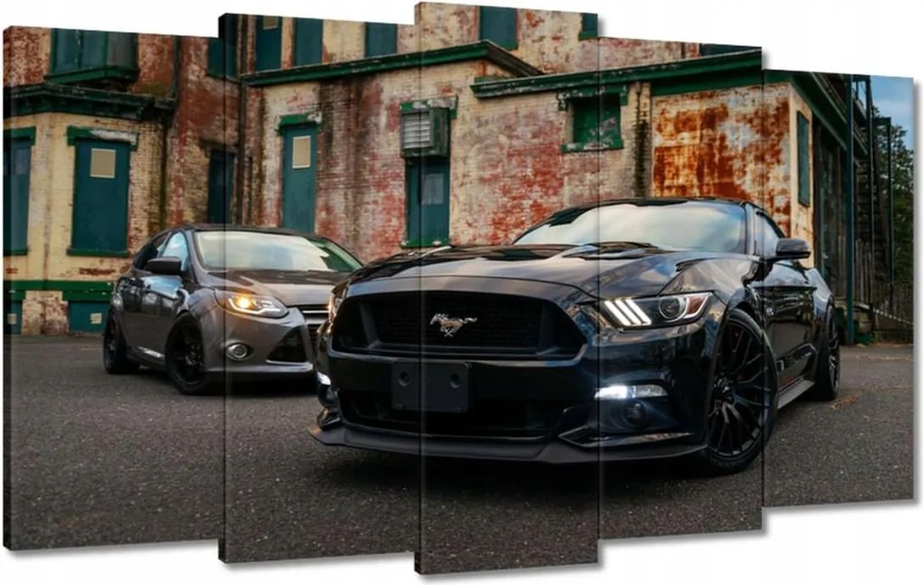 Vászonkép 100x60 Fekete amerikai szörny