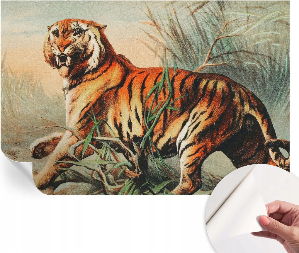 Öntapadós Dekoratív Fotótapéta Hálószobába Tigris természet 104x70 cm