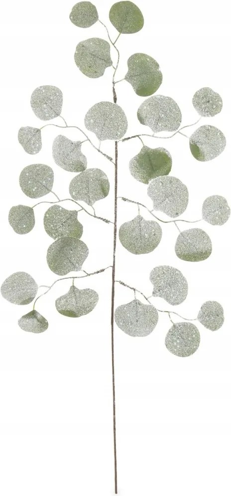 Dekorációs ág Eukaliptusz csiszolt 72 cm 146467 Art-Pol