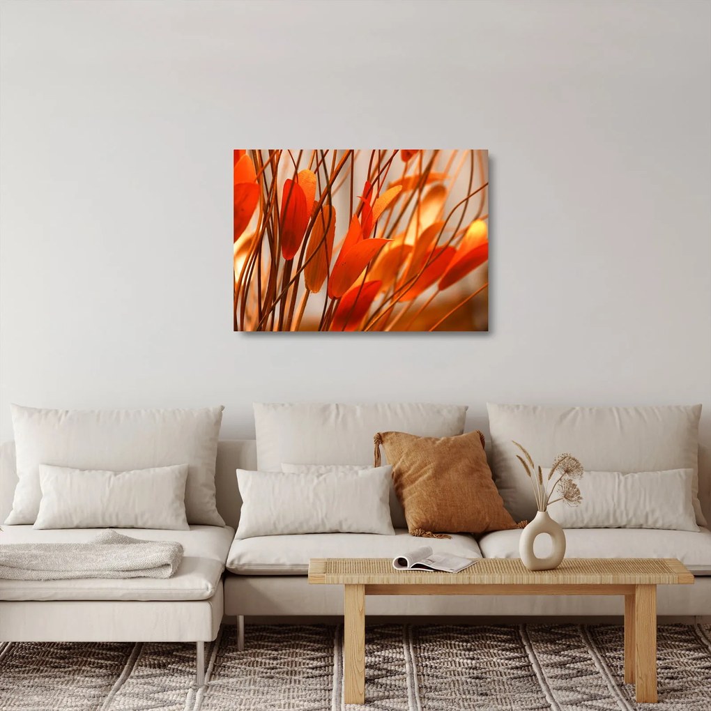 A szirmok képe (üvegen) (70x50 cm)