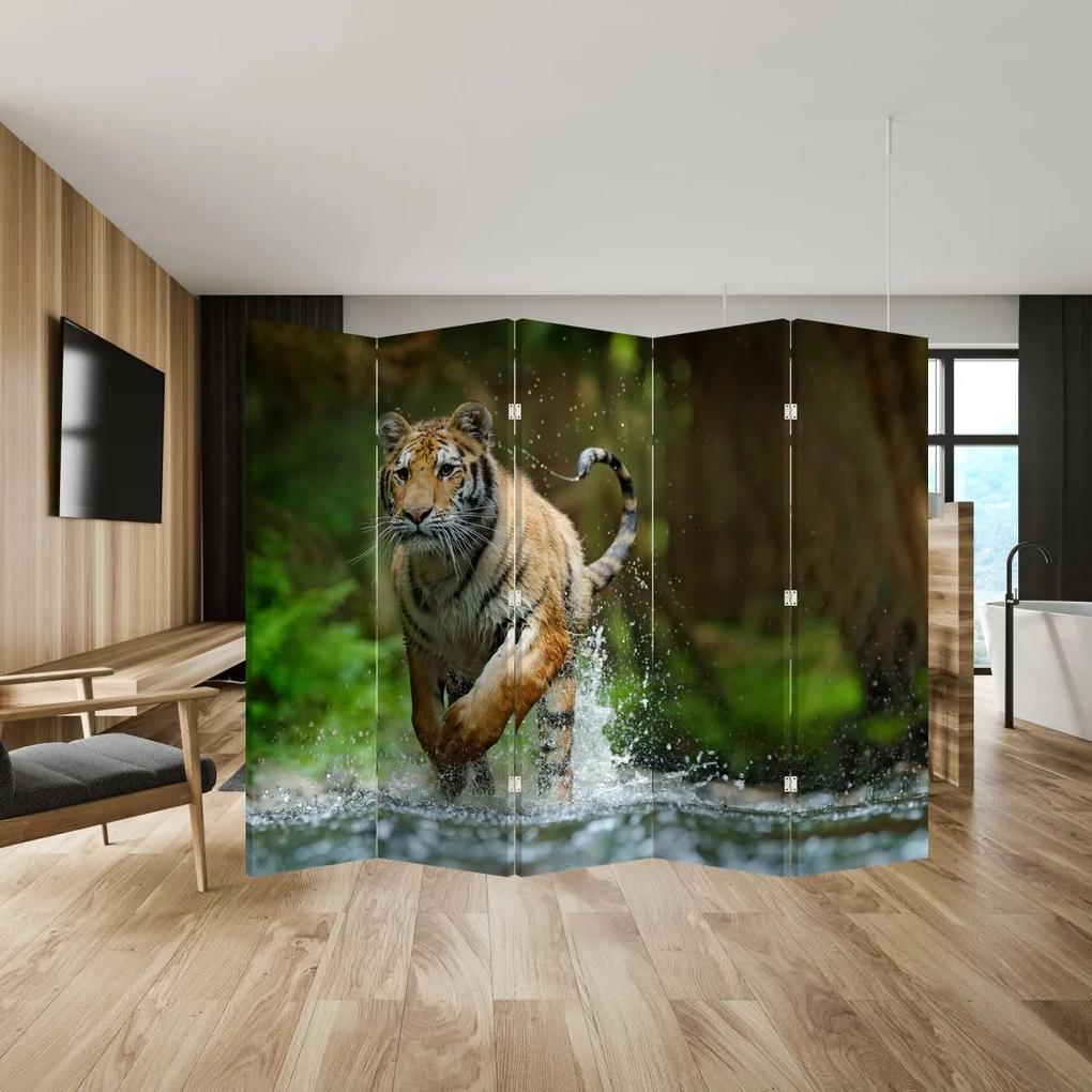 Paraván - Futó tigris (210x170 cm)