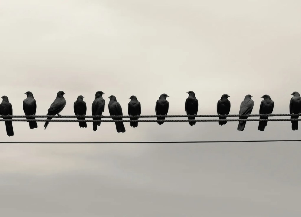 Poszter 18x13cm Konferencia a Magasságban