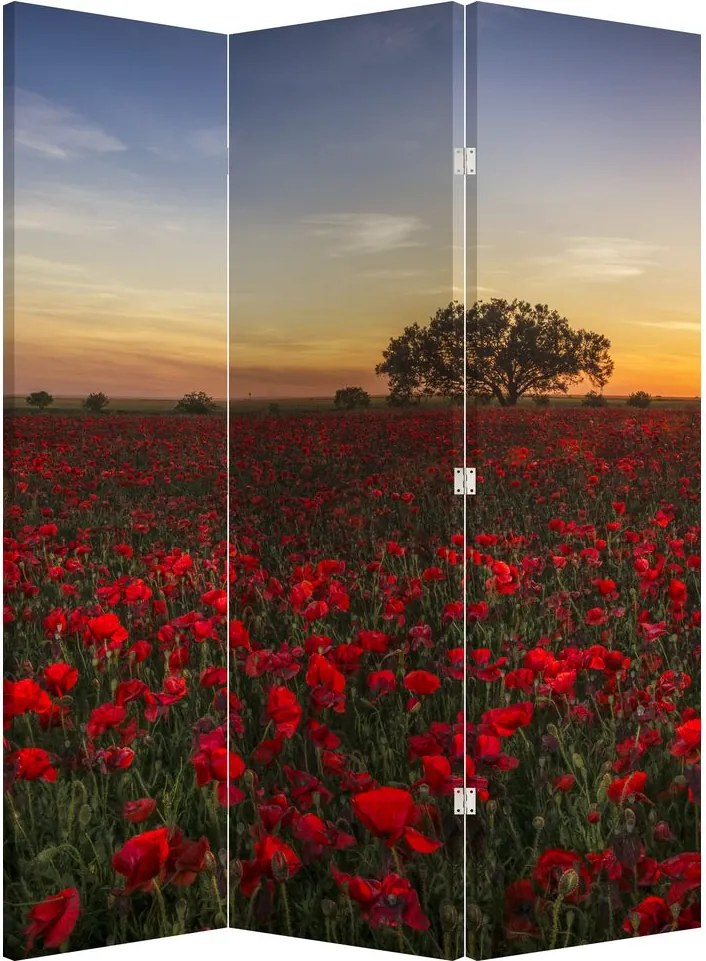 Paraván - Pipacsos rét (126x170 cm)