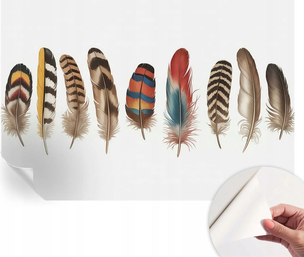 Öntapadós tapéta Divatos 3D fali ragasztóval Színes tollak 152x104 cm