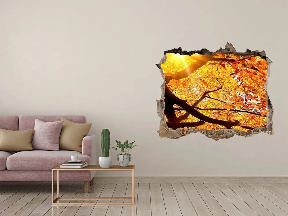 3d lyuk fal dekoráció Korona őszi fák nd-k-89060594