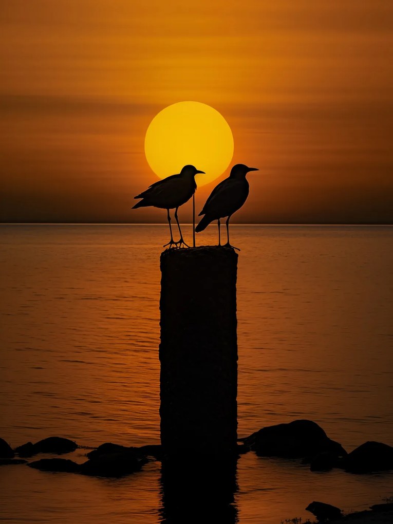 Poszter 75x100cm Beszélgetések alkonyatkor