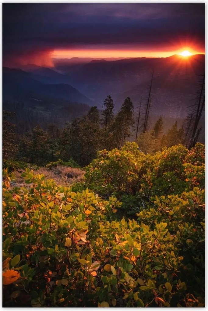 Poszterek 80x120 Kilátás Tájkép