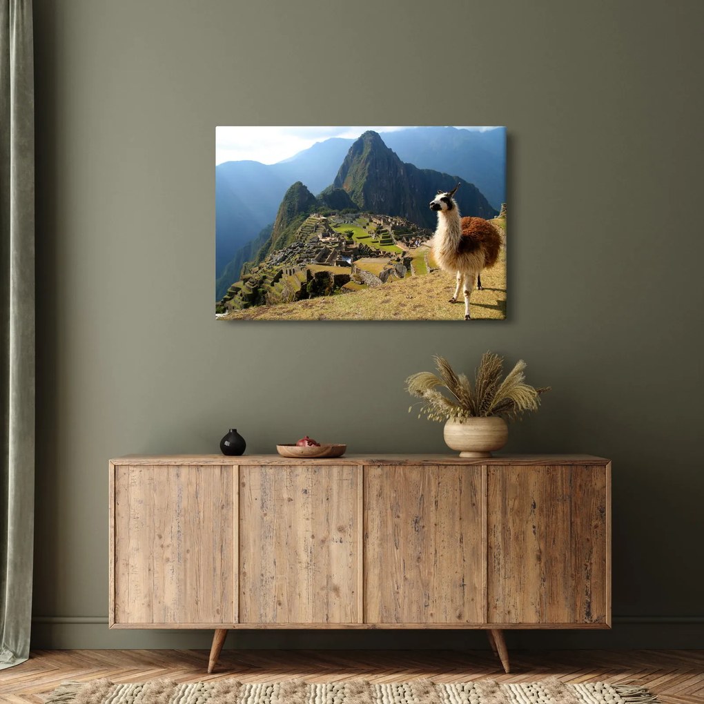 Kép - Láma és Machu Picchu (90x60 cm)