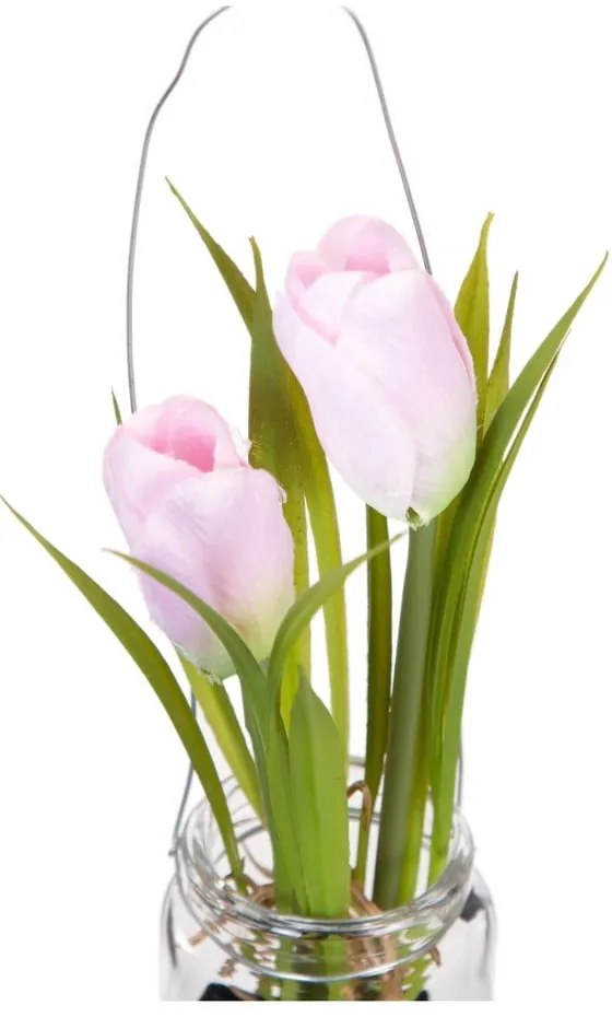 Művirág (magasság 18 cm) Tulip – Ixia