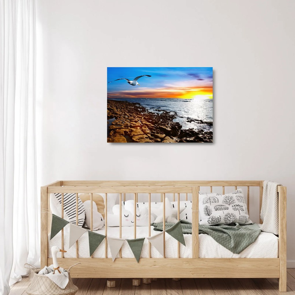 Üveg kép - Sirály repül a tengerpart felett (70x50 cm)