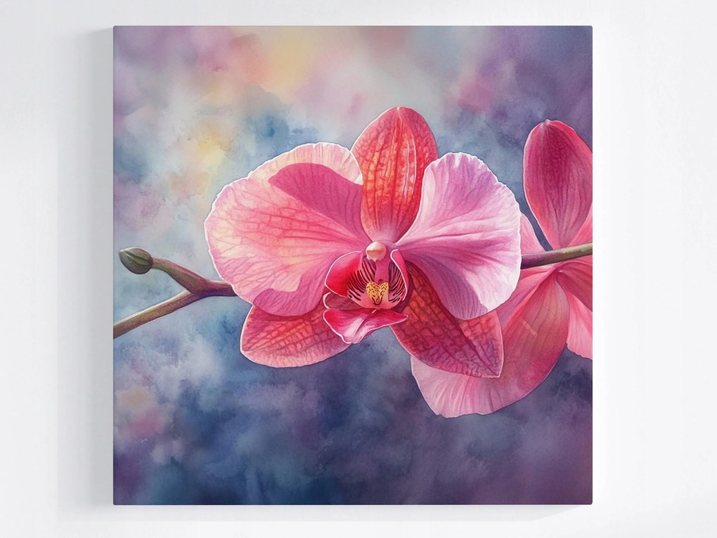 Poszter Grafika Orchidea Virág Rózsaszín Orchidea 40x40