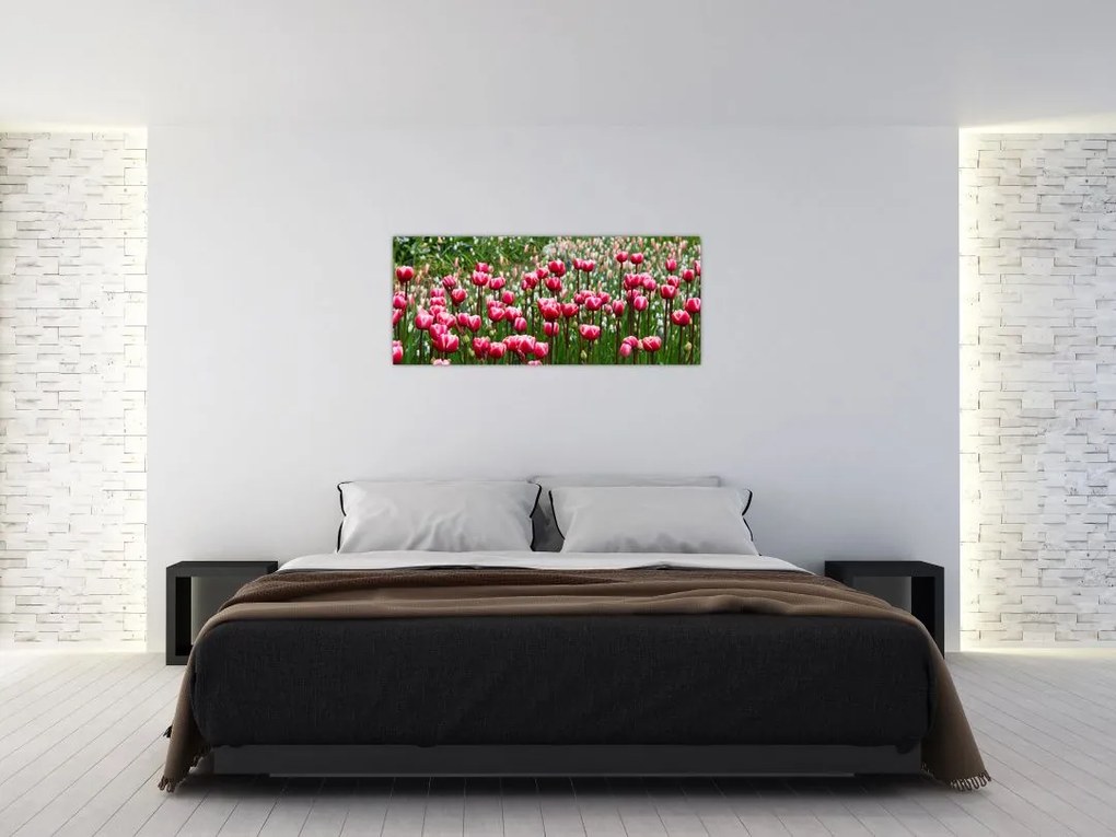 Tulipán képe (120x50 cm)