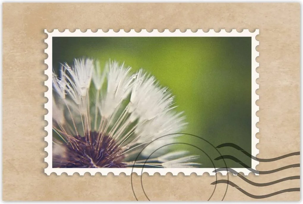 Poszterek 60x40 Pitypang Virág Virágok