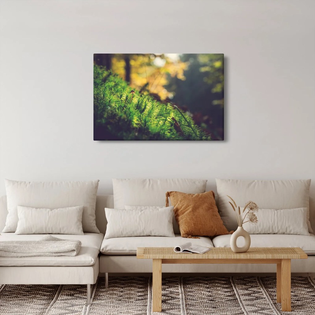 A moha képe gombával (90x60 cm)