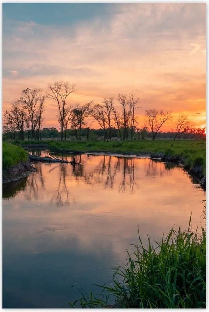 Poszterek 80x120 Folyó rét