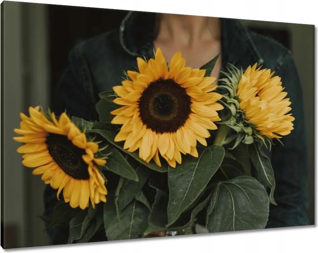 Vászonkép 100x70 Napraforgók Virágok