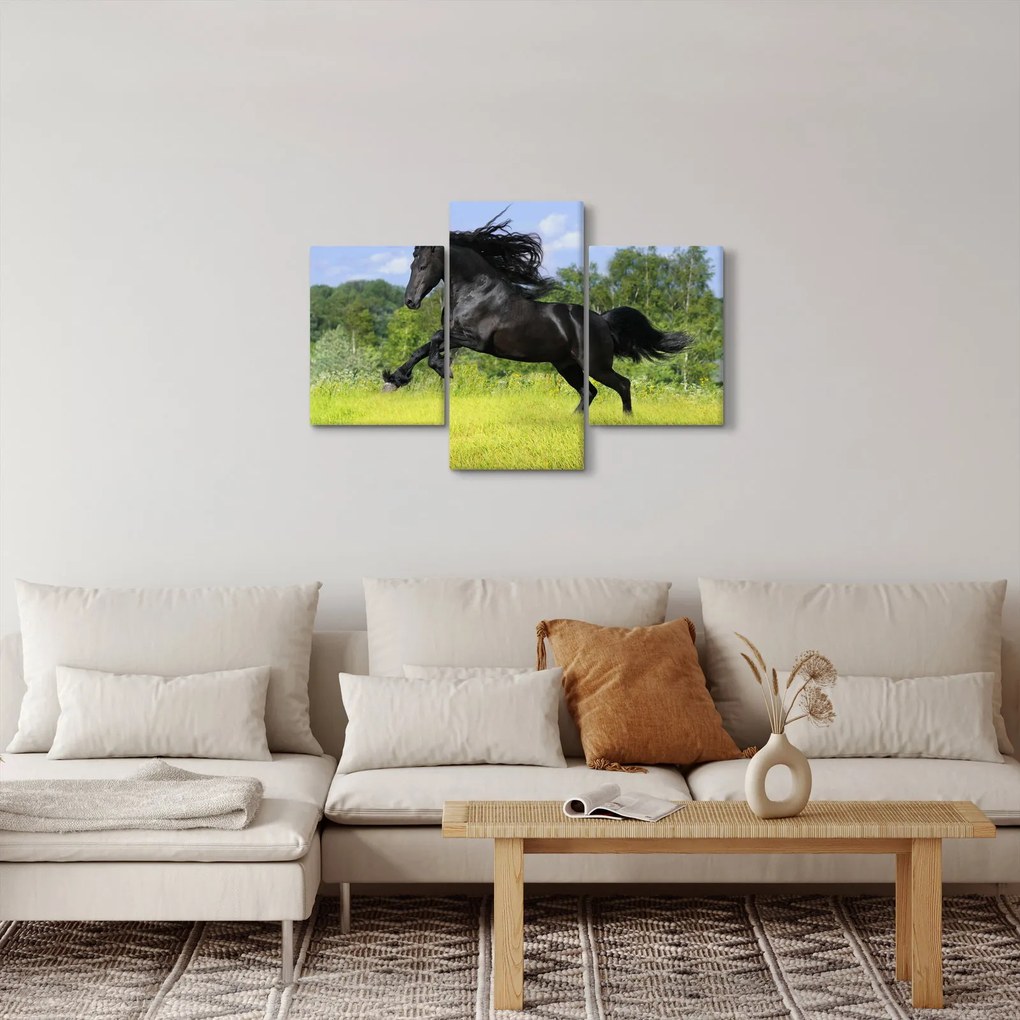 Kép - Ló hullámzó sörénnyel (90x60 cm)