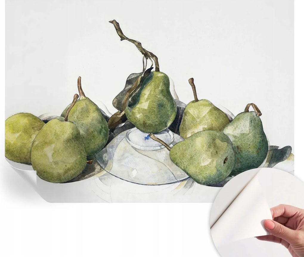 Dekoratív Öntapadós Tapéta Divatos Minták Körte akvarell 312x219 cm