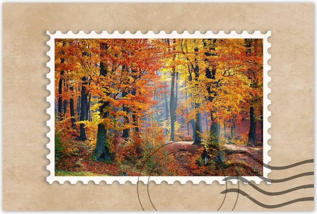 Poszterek 60x40 Arany ősz