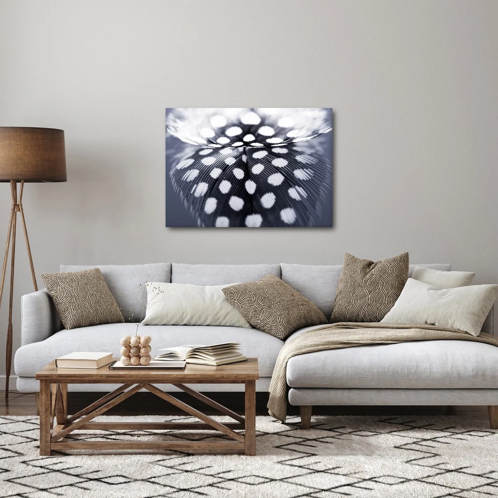 Kép - Toll (70x50 cm)