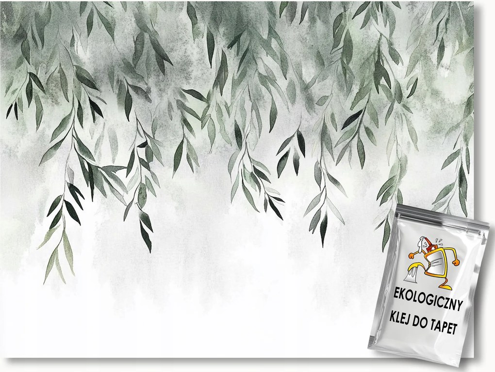 Fotótapéta Flizelina Természet Növények Kúszónövények Levelek Borostyán 208x146 ragasztó