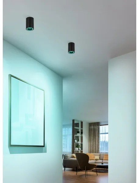 Eglo 901168 - LED RGBW Dimmelhető spotlámpa CAROSSO-Z LED/4,9W/230V fekete