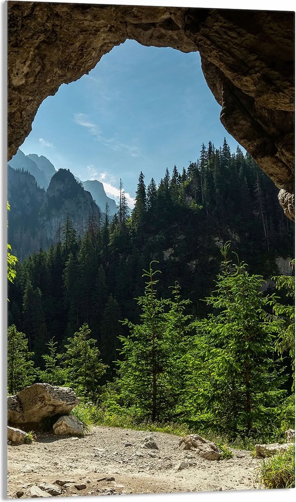 Üveg Vágódeszka 30x52 Fák a Konyhába