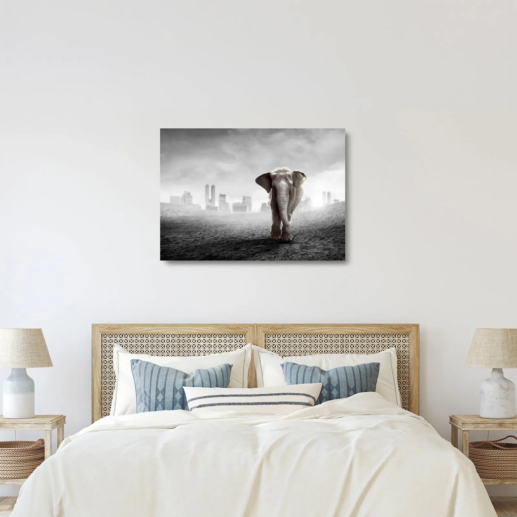 Kép -Elefánt egy nagyvárosban, fekete-fehér változat (üvegen) (70x50 cm)