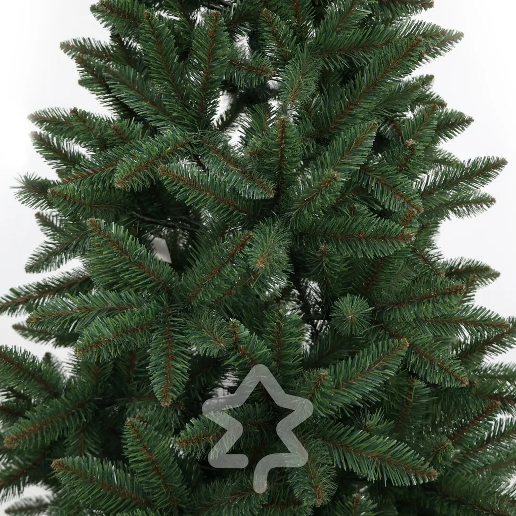 Kanadai lucfenyő 2D 210 cm
