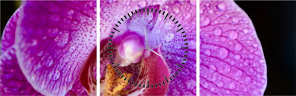 Részletes kép az orchidea virágról (órával) (90x30 cm)