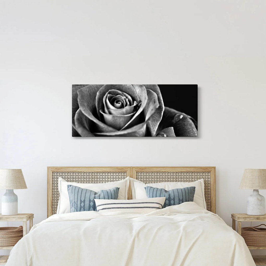 Kép - Rózsa, fekete-fehér (120x50 cm)