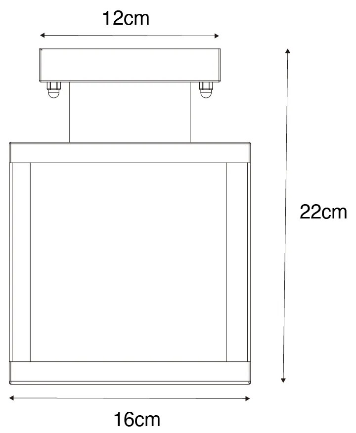 Ipari kültéri mennyezeti lámpa fekete arannyal - Rotterdam