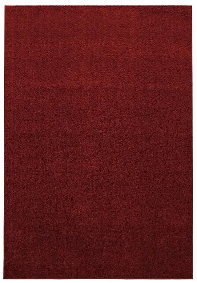 Borvörös futószőnyeg 80x250 cm Ata – Ayyildiz Carpets