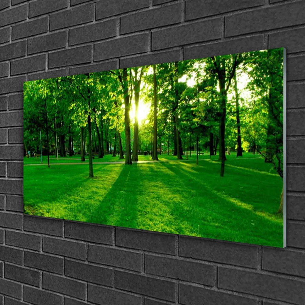 Akrilüveg fotó Forest Park Természet 100x50 cm