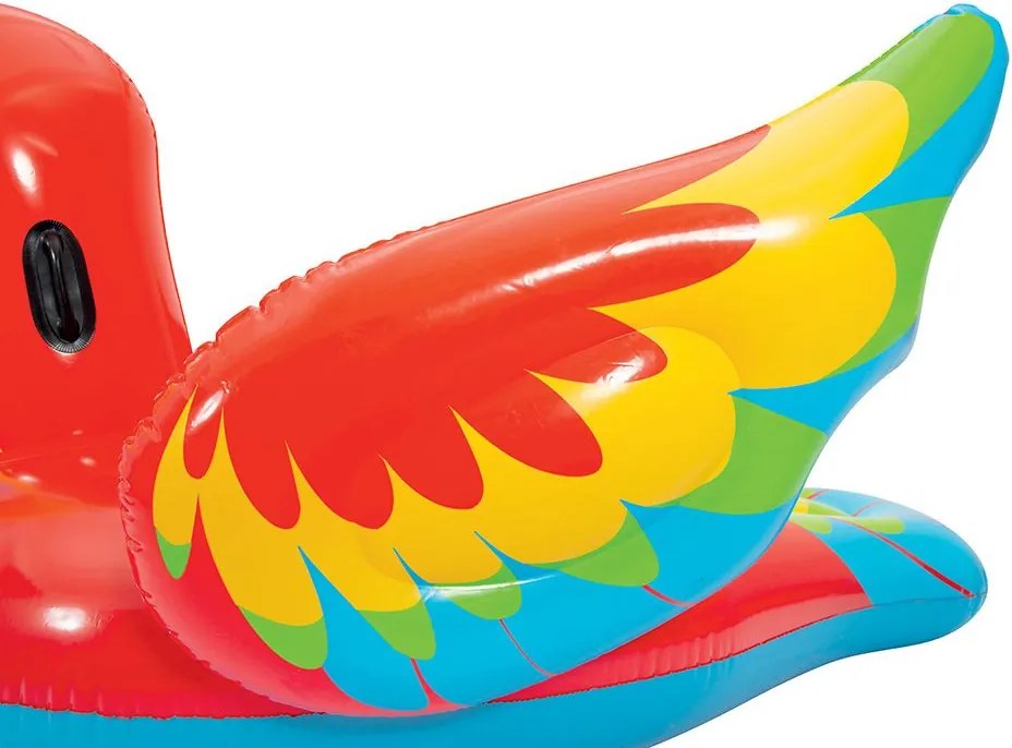 Papagáj rider 203 x 132 cm