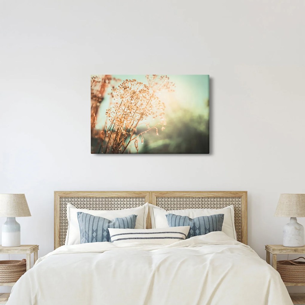 Kép - Növények eső után (90x60 cm)