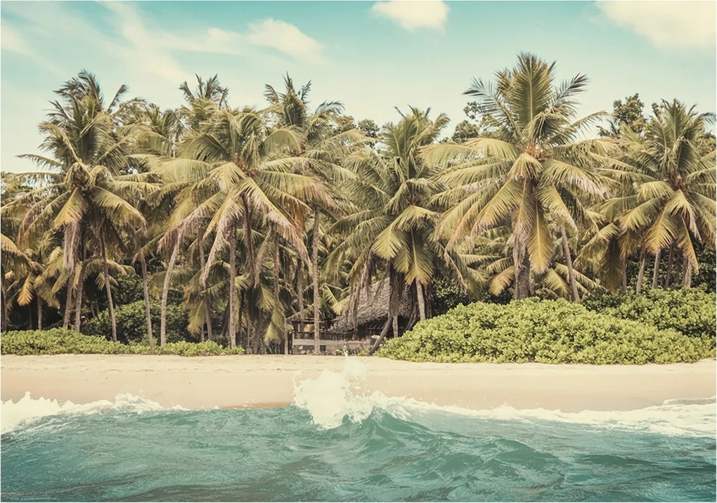 Flizelin fotótapéta Flizelin Design Trópusi tengerpart 208x146