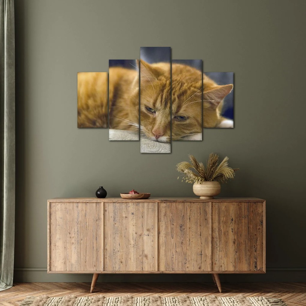 Macska képe (150x105 cm)