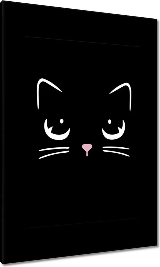 Vászonkép 70x100 Cica Cicák Macskák