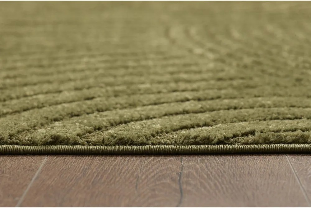 Zöld szőnyeg 200x290 cm Whirl – ESTE
