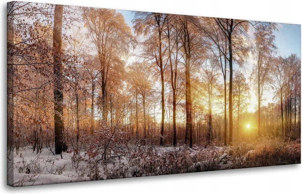 Vászonkép Fák Tél Felkelő Nap 80x40 cm Ideális ajándék
