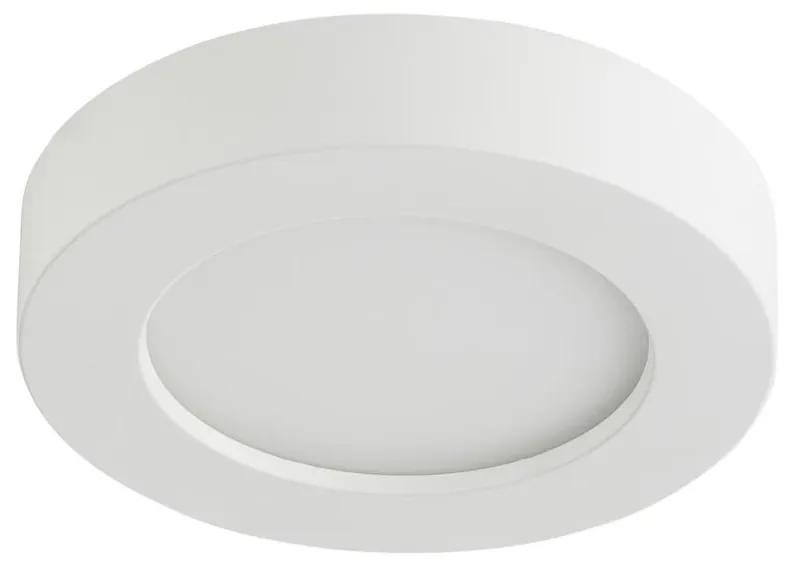 Globo GLOBO 41605-16D - LED fürdőszobai mennyezeti lámpa PAULA 1xLED/16W/230V GL4844