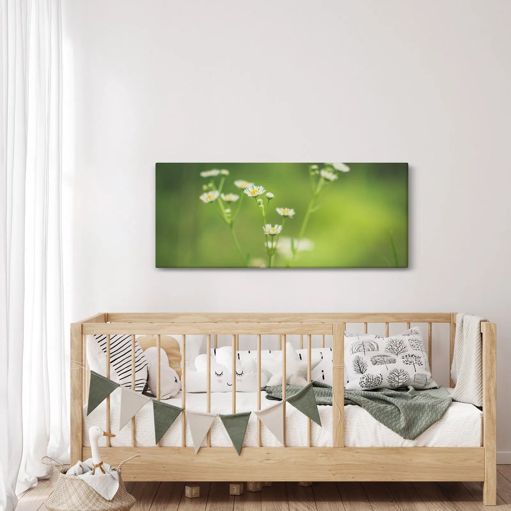Egy százszorszép képe (120x50 cm)