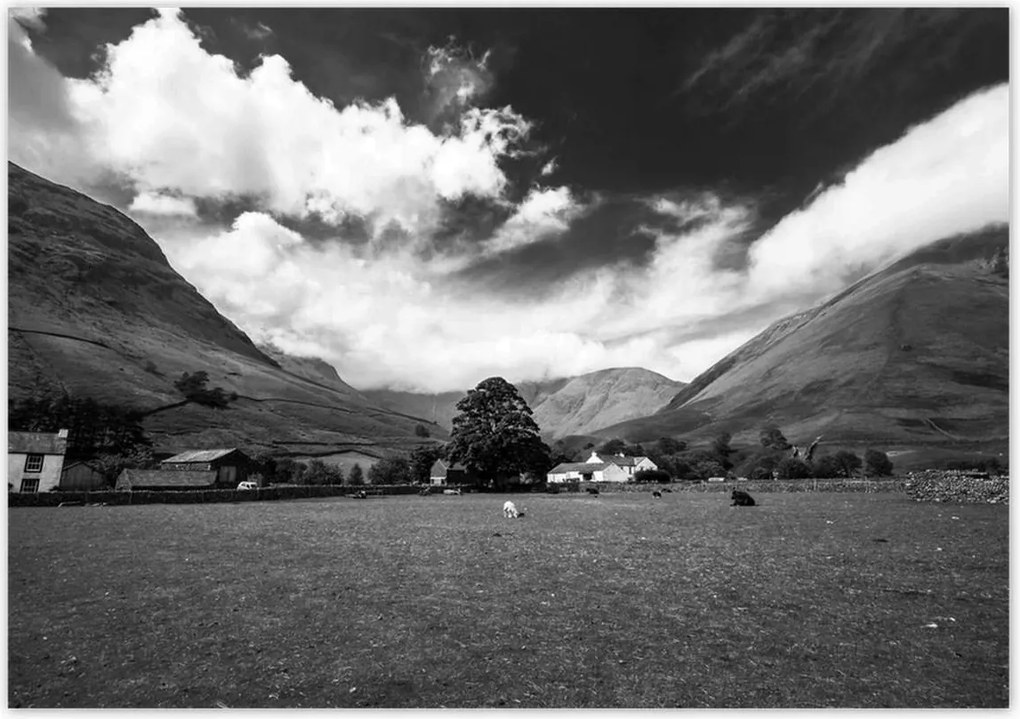 Poszterek 100x70 Bárányok a réten