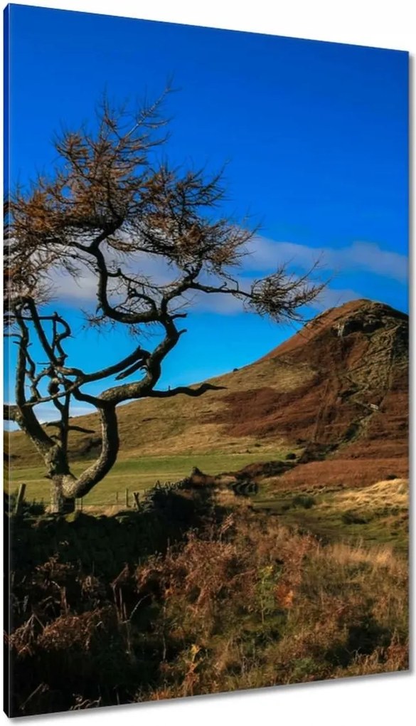 Vászonkép 80x120 Elpusztíthatatlan fa