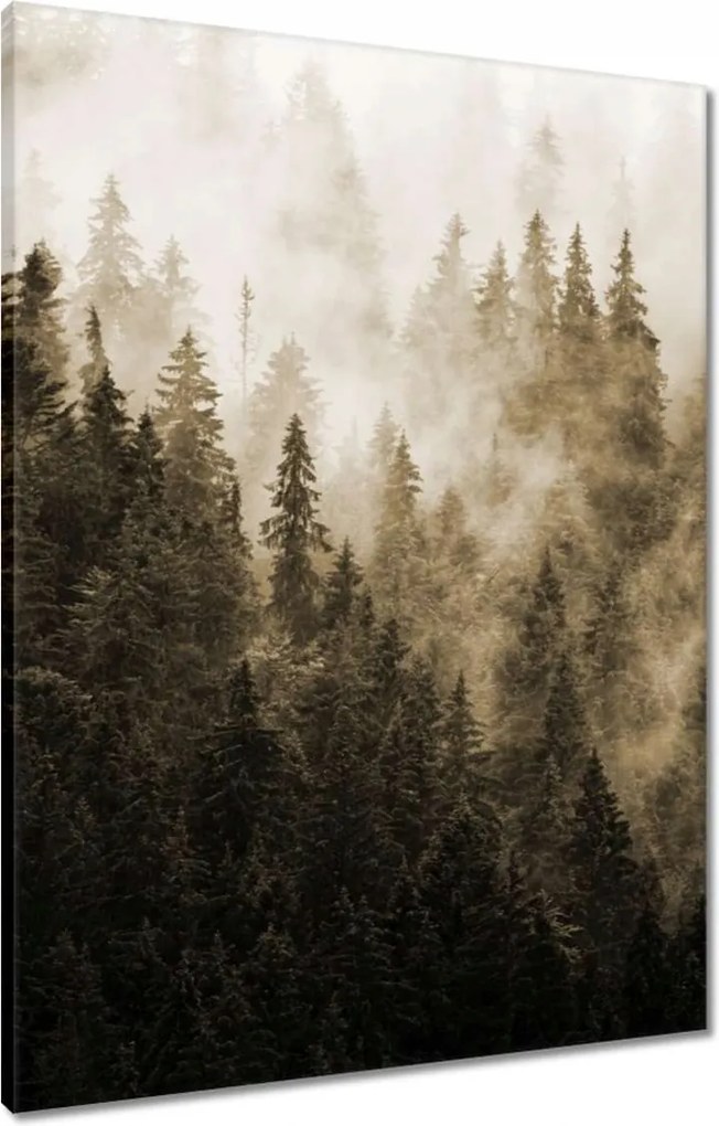 Vászonkép 60x80 Tájkép Szépia Hegyek Köd