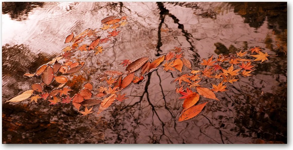 Fotó üvegkép Levelek a vízen 140x70